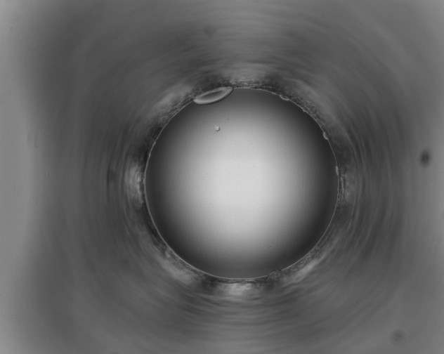 X0000097480575200802291401