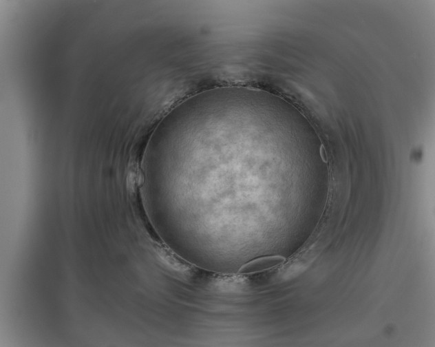 X0000097480576200802291401