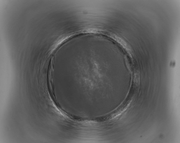 X0000097480577200802291400