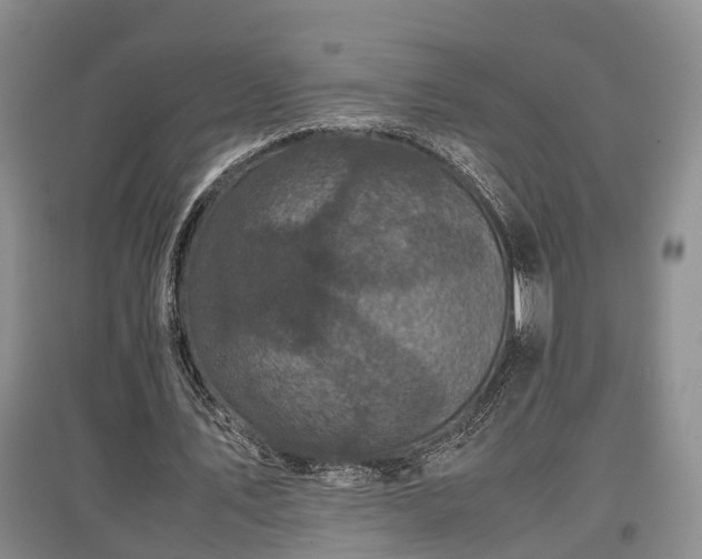 X0000097480579200802291400