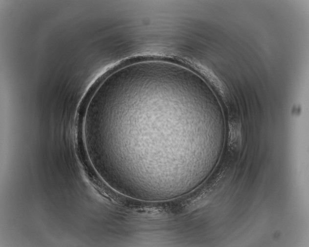 X0000097480580200802291400