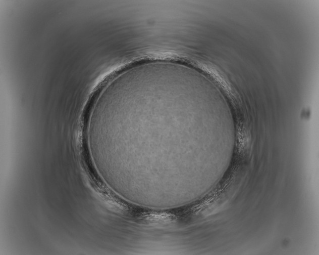 X0000097480583200802291400