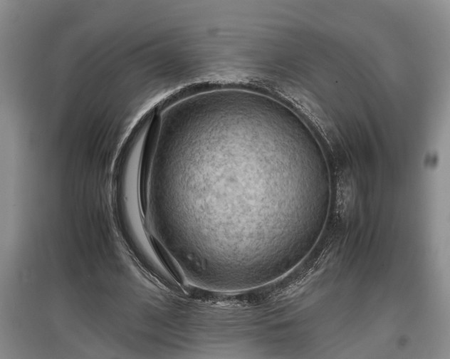 X0000097480584200802291400