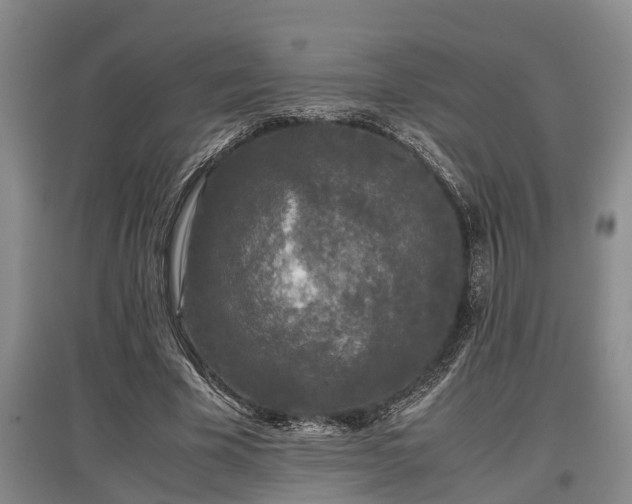 X0000097480585200802291400