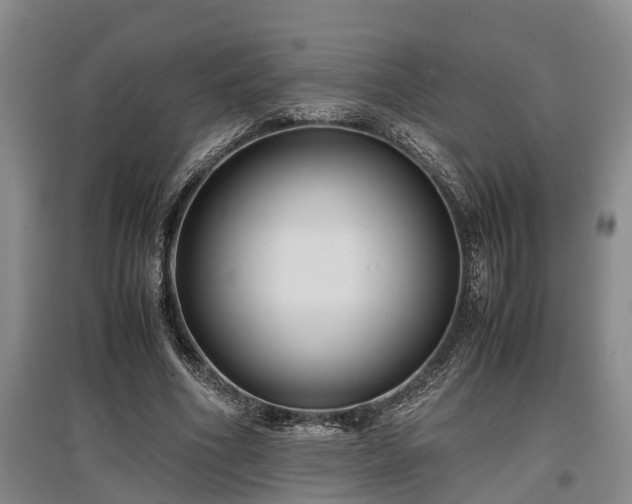 X0000097480586200802291400