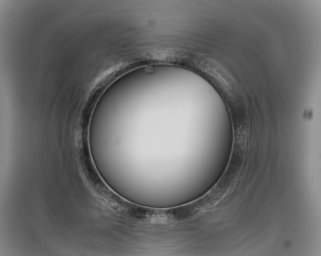 X0000097480587200802291400