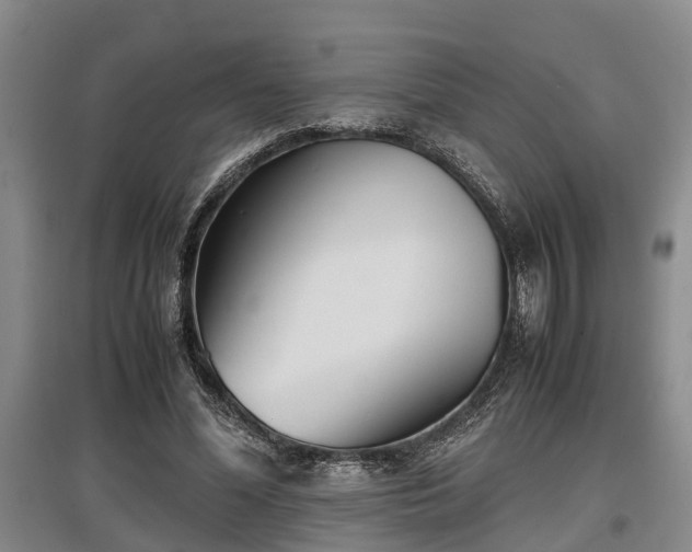 X0000097480588200802291400