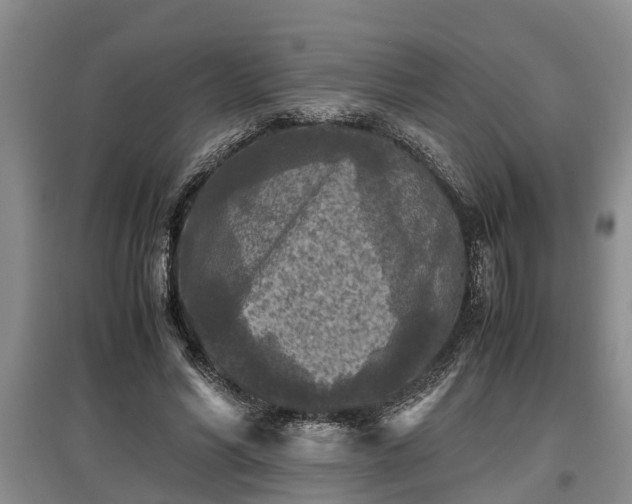 X0000097480590200802291400