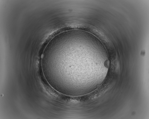 X0000097480592200802291400