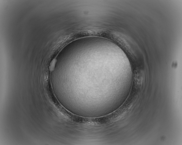 X0000097480593200802291400