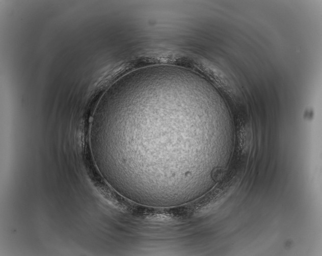 X0000097480594200802291400