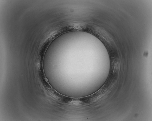 X0000097480595200802291400