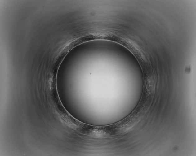 X0000097480596200802291400