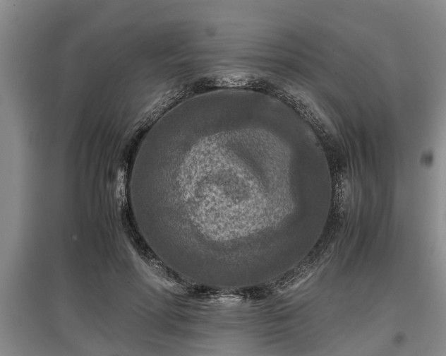 X0000097480598200802291400