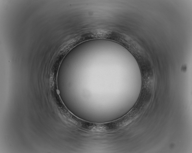 X0000097480599200802291400