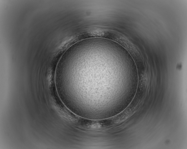 X0000097480600200802291400