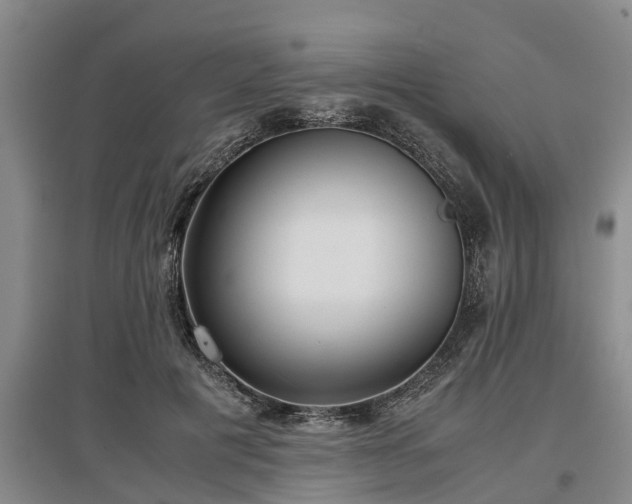 X0000097480601200802291400