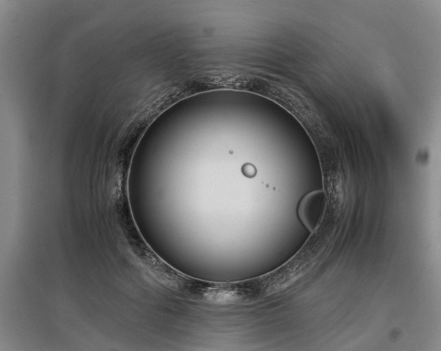 X0000097480602200802291400