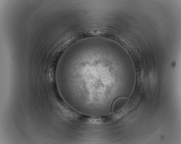 X0000097480606200802291400