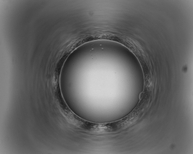 X0000097480607200802291400