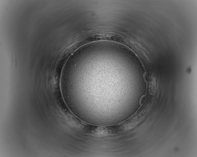 X0000097480608200802291400