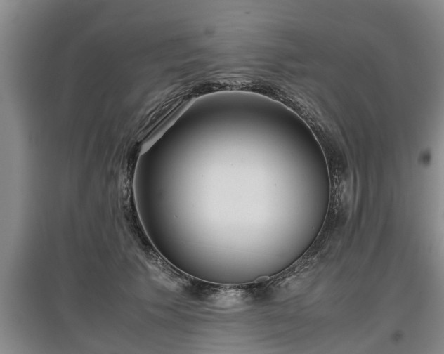 X0000097480609200802291400