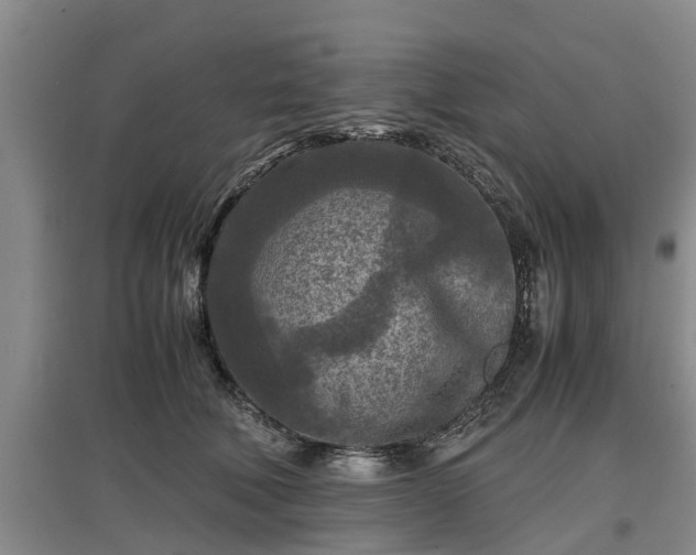 X0000097480610200802291400