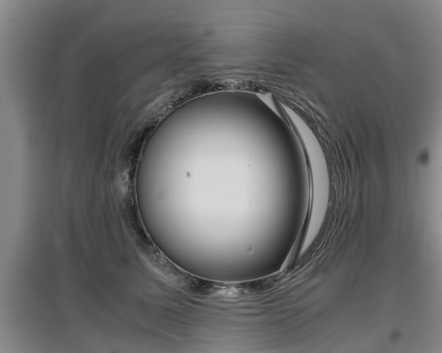 X0000097480611200802291400