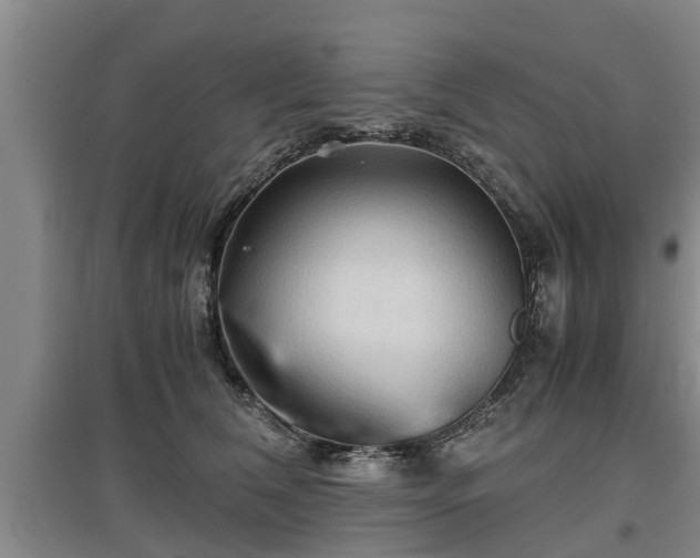 X0000097480612200802291400