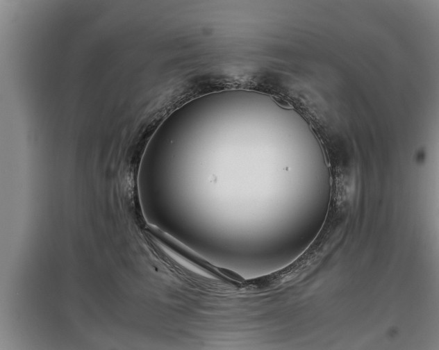 X0000097480613200802291400