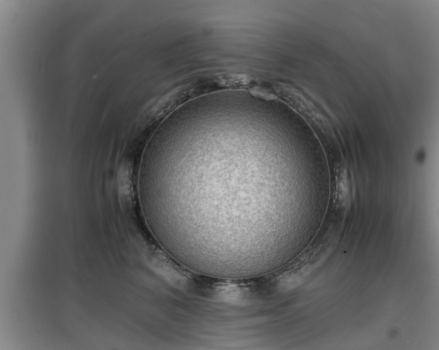 X0000097480616200802291400