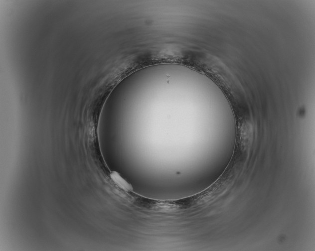 X0000097480617200802291400