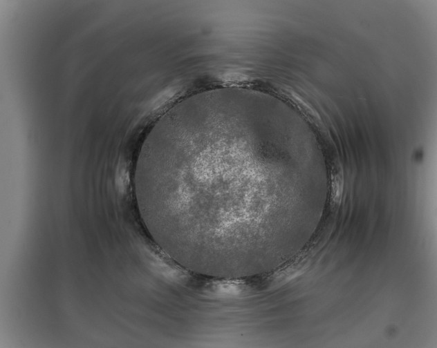 X0000097480618200802291400