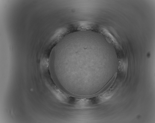 X0000097480621200802291359