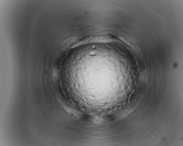 X0000097480623200802291359