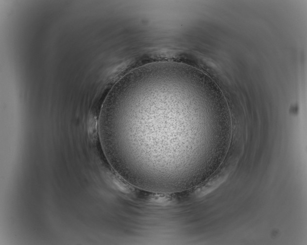 X0000097480624200802291359