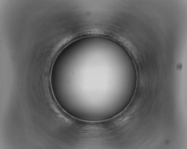 X0000097480625200802291359