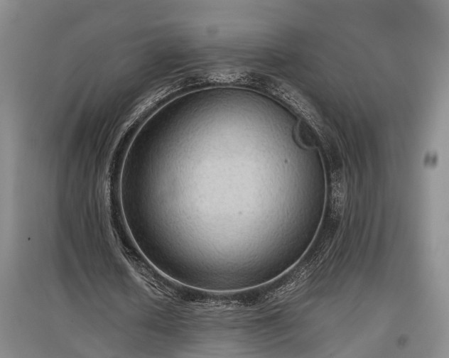 X0000097480626200802291359