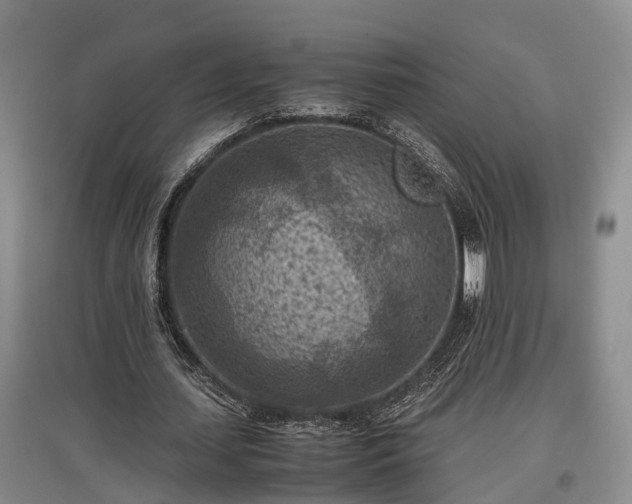 X0000097480627200802291359