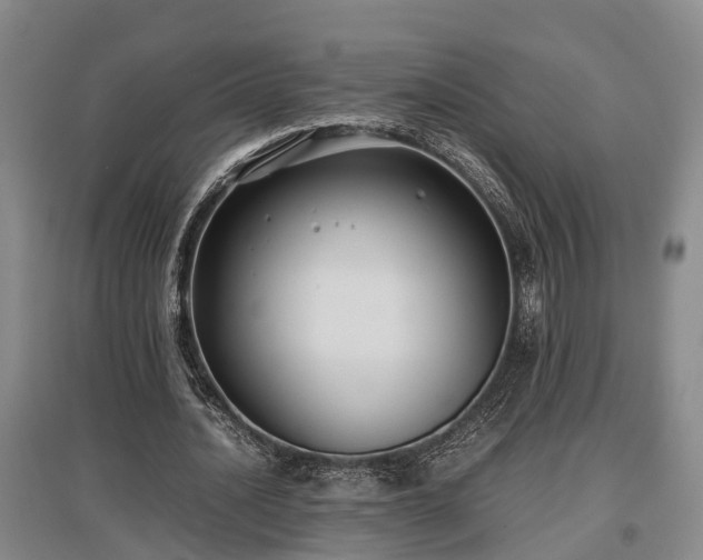 X0000097480628200802291359