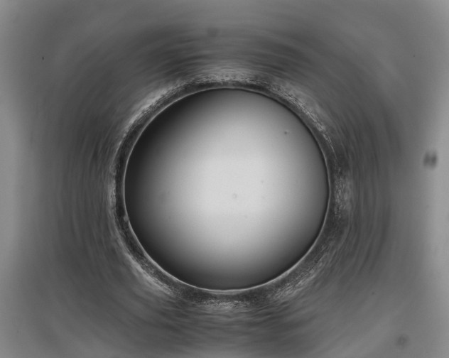 X0000097480629200802291359