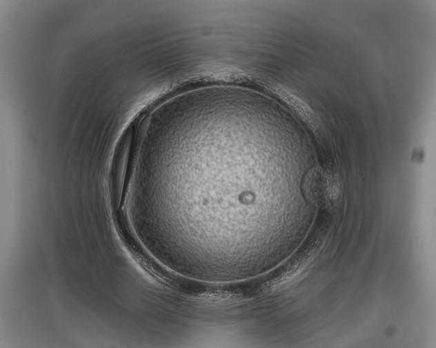 X0000097480630200802291359