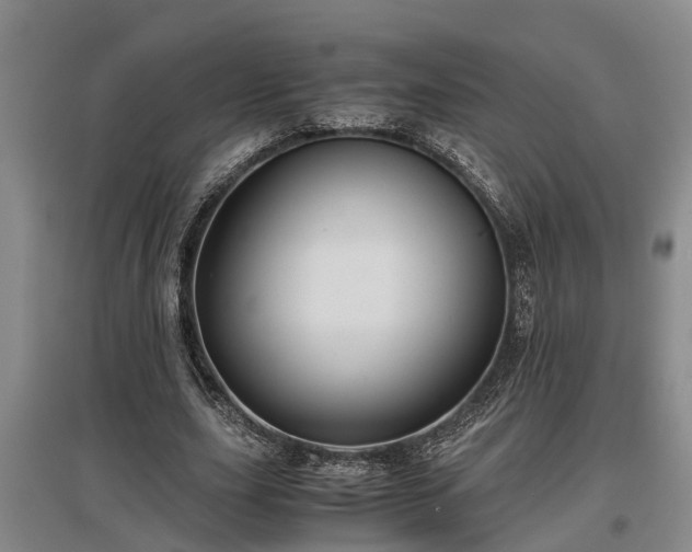 X0000097480631200802291359