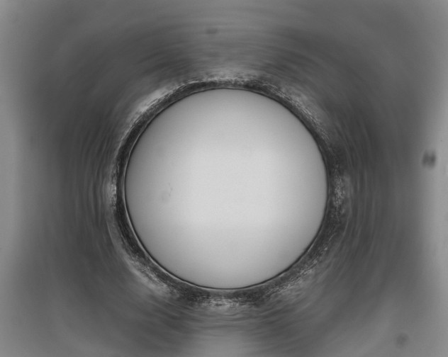 X0000097480632200802291359