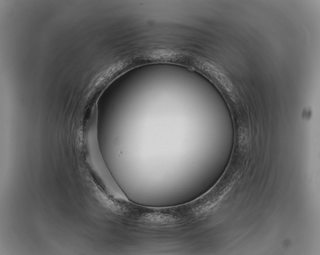 X0000097480633200802291359