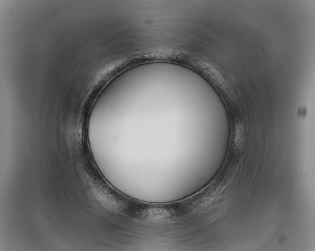 X0000097480636200802291359