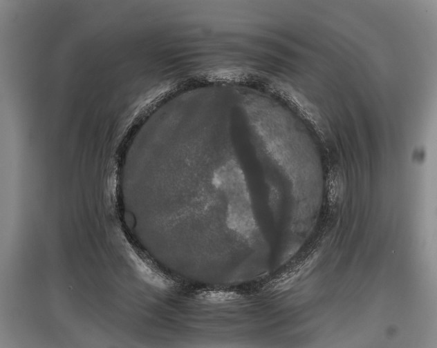 X0000097480637200802291359