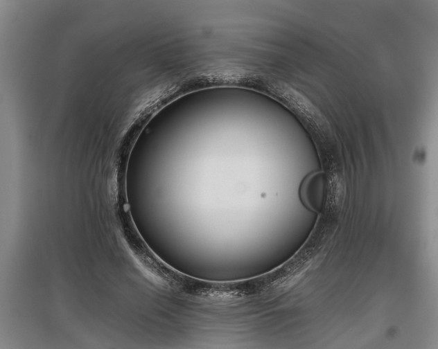 X0000097480638200802291359