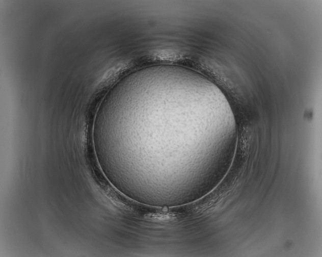 X0000097480639200802291359