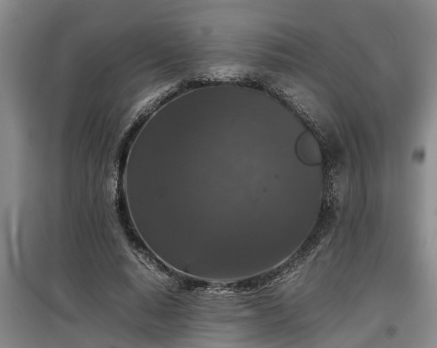 X0000097480640200802291359